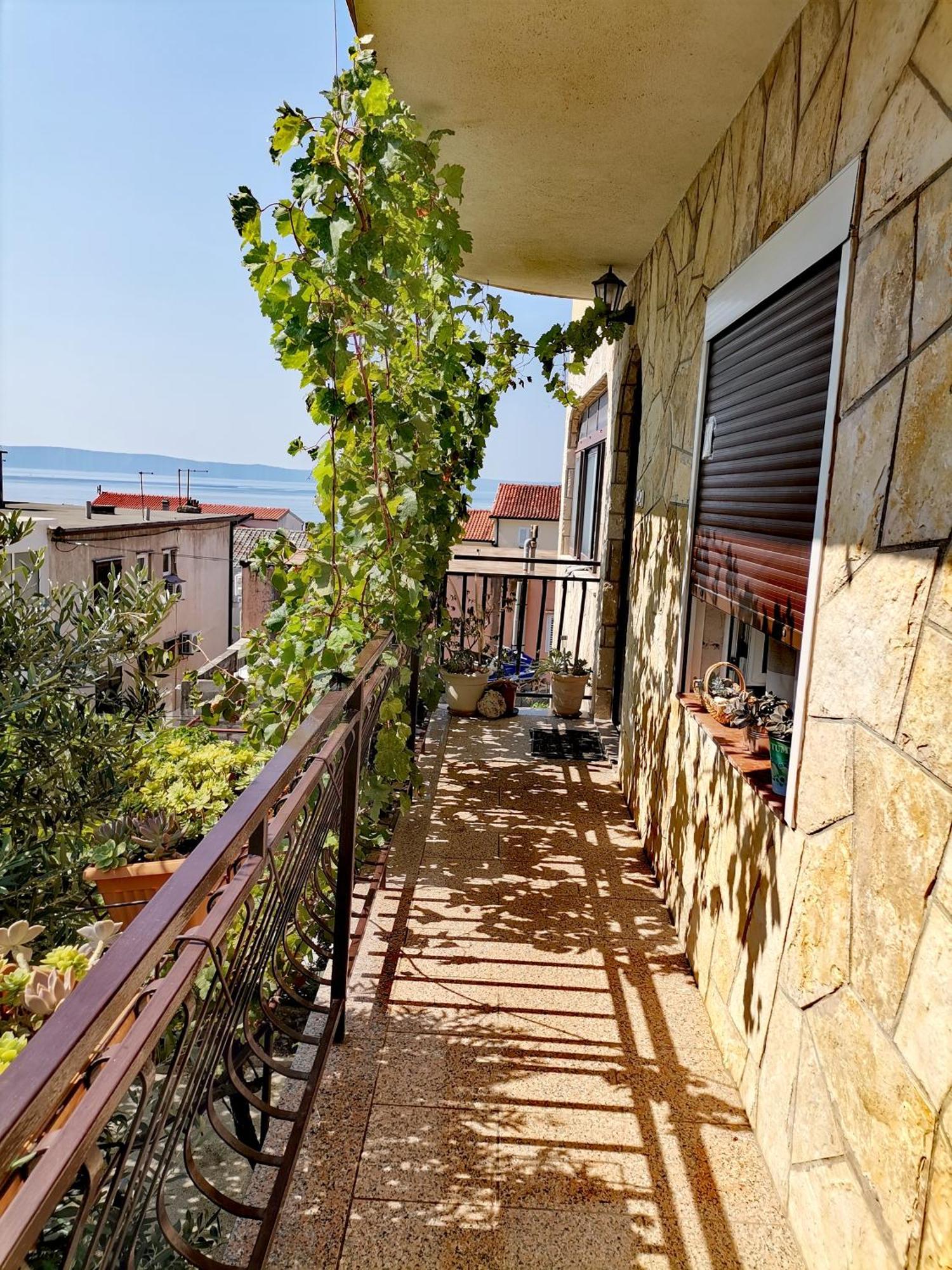 Villa Mia Makarska Zewnętrze zdjęcie